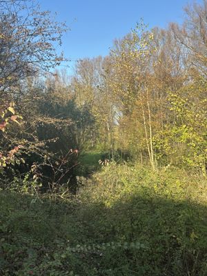 Foto 390 uit Rondje Beverwaard 2026