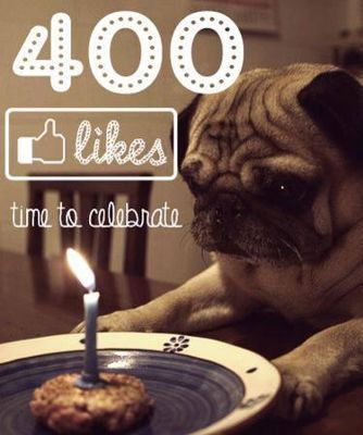 Foto 376 uit I-Believe-Be-Lieve