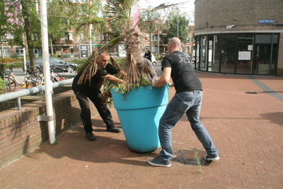 Foto 10 uit Grote-Bloem-Potten