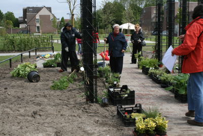 Foto 8 uit Tropische Buurttuin