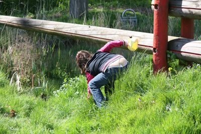 Foto 7 uit PasenStormpolder_2