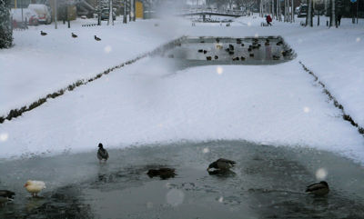 Foto 62 uit Kerst Beverwaard09