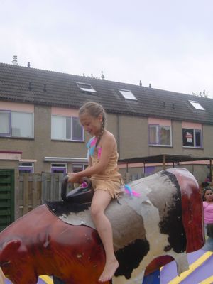 Foto 150 uit country feest 2005