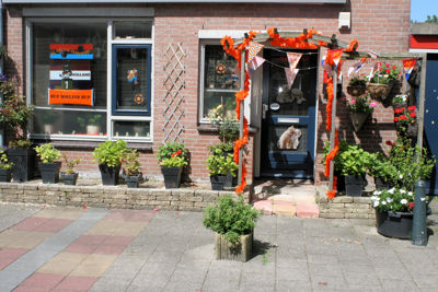 Foto 41 uit BeverwaardOranjeWk