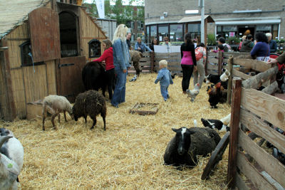 Foto 90 uit WijkFeest15_09_2012