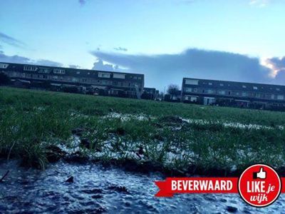 Foto 81 uit LIKEJEWIJK FOTO'S_3