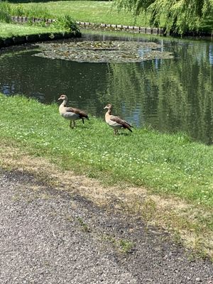 Foto 11 uit StraatspeeldagPit010