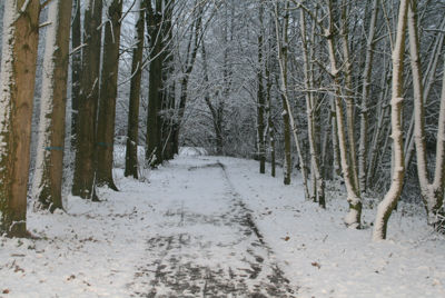 Foto 36 uit Kerst Beverwaard09