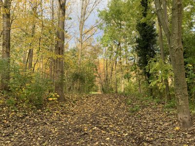 Foto 411 uit Rondje Beverwaard 2026