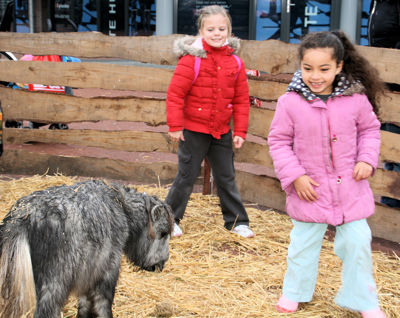 Foto 31 uit Sinterklaas 2009B.W