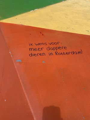 Foto 8 uit De Meeuw Vliegt Uit