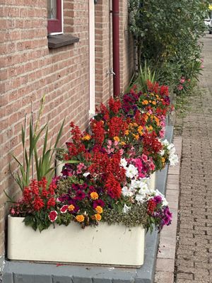 Foto 354 uit Rondje Beverwaard 2026