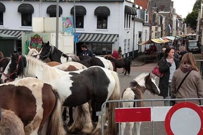 Foto 77 uit Paardenmarkt29-6