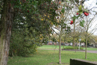 Foto 202 uit Herfst In Beverwaard