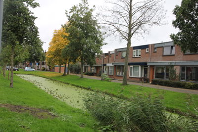 Foto 188 uit Herfst In Beverwaard