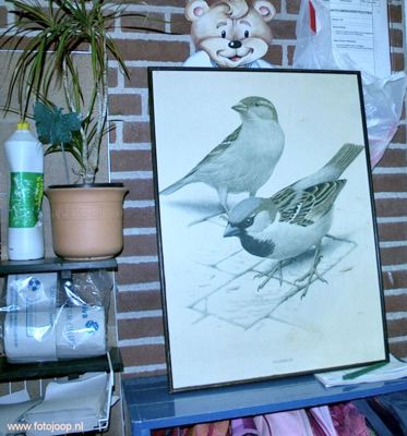 Foto 17 uit RK Regenboog de mus