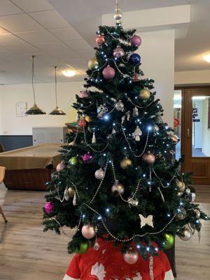 Foto 3 uit Kersversieringen2021