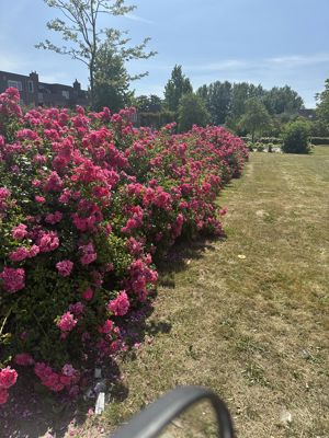 Foto 167 uit Rondje Beverwaard 2026