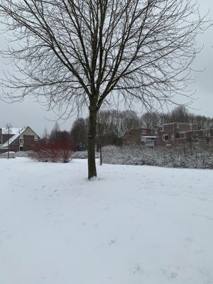Foto 153 uit WinterIn Beverwaard