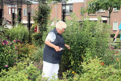 Foto 336 uit TropischeTuin 2017