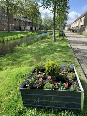 Foto 263 uit StratenBEVERWAARD