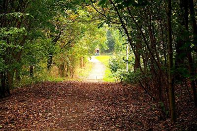 Foto 66 uit Herfst In Beverwaard