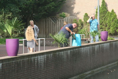 Foto 71 uit HippePlantenBakken