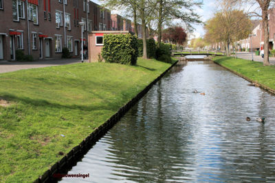 Foto 502 uit StratenBEVERWAARD