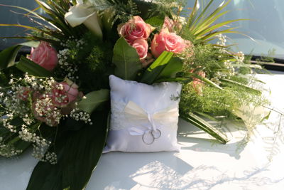 Foto 162 uit Bruiloft-Beverwaard