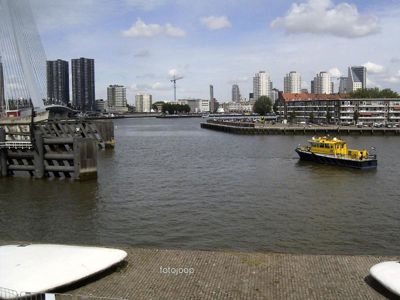 Foto 17 uit red bull air race r.dam