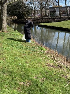 Foto 12 uit Beverwaard Schoon