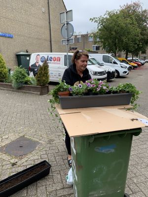 Foto 11 uit PlantenAlerdincksingel