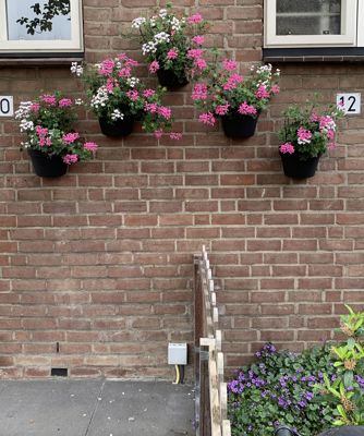 Foto 33 uit Lente En Zomer 2022