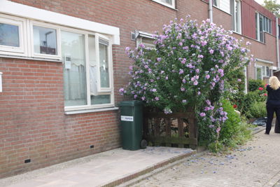 Foto 132 uit Herfst In Beverwaard