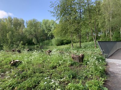 Foto 248 uit StratenBEVERWAARD