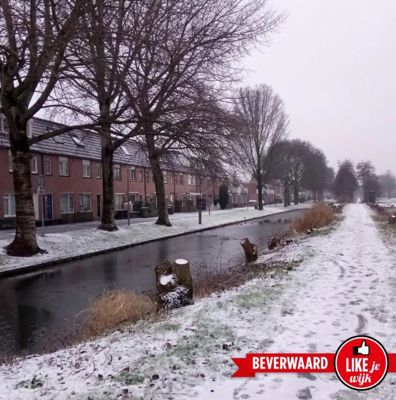 Foto 113 uit WinterIn Beverwaard
