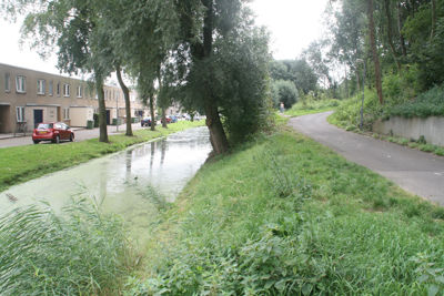 Foto 566 uit StratenBEVERWAARD