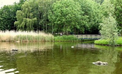 Foto 103 uit BENSVSTORMPOLDER