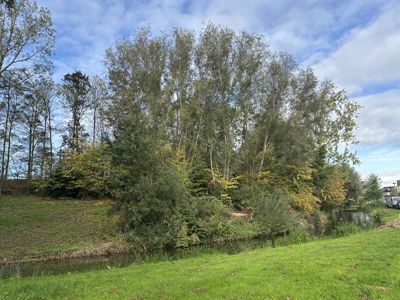 Foto 49 uit X-Herfst Verschillende jaren  2026