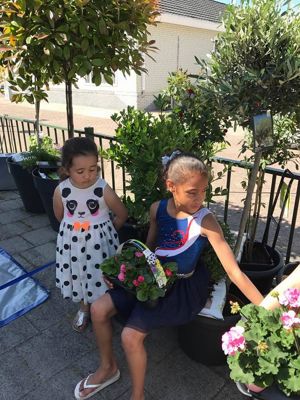 Foto 13 uit VrolijkSevenaerstraat