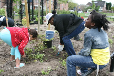 Foto 44 uit Tropische Buurttuin