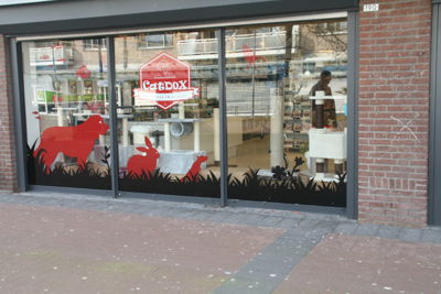Foto 50 uit Dieren Zaak Catdox