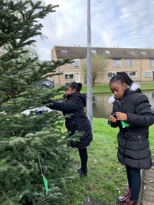 Foto 13 uit Kerstboom optuigen