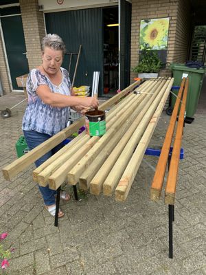 Foto 21 uit Pergola Gemaakt