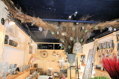 Foto 85 uit De Bloemenboetiek