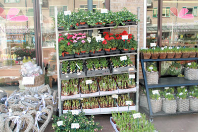 Foto 219 uit WINKELSBeverwaard