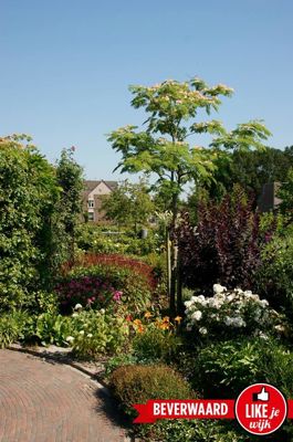 Foto 99 uit LIKEJEWIJK FOTO'S_3