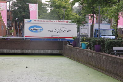 Foto 19 uit Viskar 1ste 21-8-18