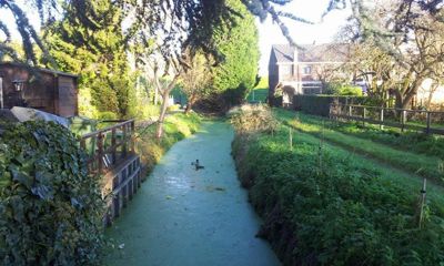 Foto 91 uit SloopEnOpbouwWIJK