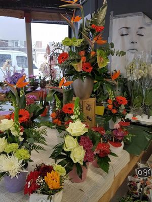 Foto 269 uit NeelyshaBloemen